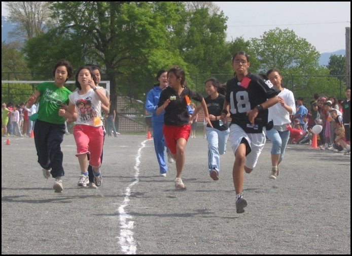 Field 029.jpg